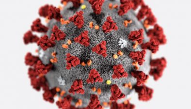 COVID-19 coronavirus protein spike